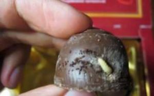 Иркутский губернатор на Новый год подарил детям из малоимущих семей конфеты с червями