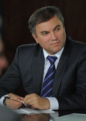 Госдума ввела Скоробогатову и Полякову в совет директоров ЦБ РФ