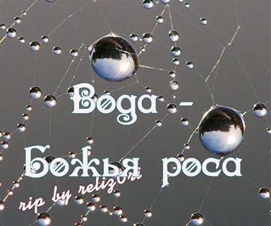 Божья роса. Вода Божья роса. Божья роса Мем. Божья роса фильм 2013. Божья роса верят карикатура.