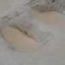 В Саратове выпал снег с примесью песка из Сахары