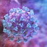 У коронавируса обнаружили способность выживать даже при температуре выше 60 градусов