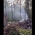 В Амурской области и Хабаровском крае объявили трехдневный траур в связи с крушением Ан-24