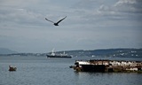 Владивосток становится свободным портом