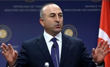 Глава МИД Турции заявил, что операция в Сирии ещё не окончена