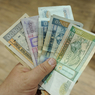 Российские банки предложили разрешить ввозить валюту в Россию без декларации хоть чемоданами