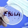 Канада поставит ВОЗ экспериментальную вакцину против Эболы