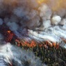 Минприроды предложило пересмотреть права губернаторов после лесных пожаров