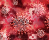 Срок действия ПЦР-тестов в России ограничат 48 часами из-за нового штамма коронавируса
