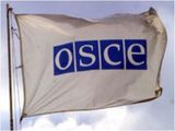 ОБСЕ гарантировала безопасность экспертов на Украине