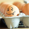 Яйцо диете не помеха, а подспорье, выяснили ученые