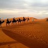Почему покрытая лесами Сахара превратилась в пустыню