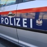 Задержанного в Австрии экс-чиновника Минкультуры РФ отпустили под залог