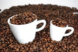 Учёные обнаружили неожиданное воздействие запаха кофе на мозг человека
