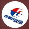 Самолёт Malaysia Airlines не долетел в Токио из Куала-Лумпура