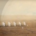 Компания Mars One объявлена банкротом