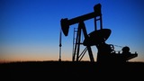 Цены на нефть Brent упали ниже 55 долларов за баррель