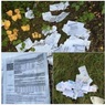 "Почта России" уволила сотрудницу, выкинувшую письма в лес