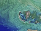 Госдума ратифицировала конвенцию о разделе Каспийского моря