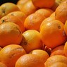В России из-за антитурецких санкций образовался дефицит апельсинов