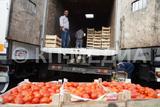 Сбежавший водитель фуры с санкционными томатами забыл на границе все документы