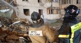 Число погибших при обрушении дома в Белгороде выросло до 15 человек