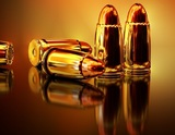 Депутаты-единороссы подготовили законопроект об усилении контроля над оборотом оружия