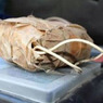 При обыске в  Дагестане найдены пояса смертников и женские парики