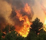 Весенний лесной пожар начался в Дагестане
