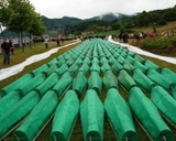 МИД РФ: Виновные в убийствах в Сребренице должны быть наказаны