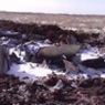 Стали известны  имена летчиков разбившегося под Волгоградом Су-24
