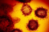 Ученые нашли способ уничтожить коронавирус за две минуты на входе