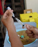Выезжающим туристам рекомендуется прививка от  полиомиелита