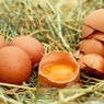 Генпрокуратура проверит производителей яиц из-за роста цен