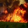 Кабмин выделил 90 млн руб пострадавшим из-за пожаров в Забайкалье