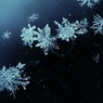 Первый снег скоро выпадет в Москве