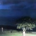 Австралийская полиция опубликовала видео странного объекта, бороздящего небо