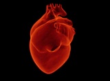 Ученый рассказал о самом эффективном способе защиты от инфаркта