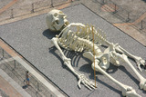 В столичном метро обнаружен скелет