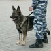 В центре Варшавы напали на журналистку