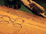 Профессор Аллен нашла в Декларации независимости США ошибку