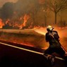 Из-за пожаров в лесах Хакасии введен режим ЧС