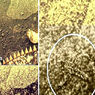Ученые рассекретили открытие 30-летней давности, сделанное по фотографиям с Венеры