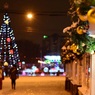 Мэр Кемерова объяснил покупку новогодней ёлки за 18 млн рублей