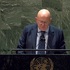 Небензя: России не нужна массовая мобилизация, она не планируется и не ожидается