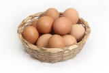 Почему у яиц скорлупа бывает разного цвета