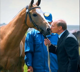 Владимир Путин дал лошадям Пржевальского волю