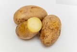 Юрист объяснил, когда могут оштрафовать за выращивание картошки, но яснее не стало