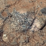 Не счесть алмазов в марсианских пещерах... (ФОТО)