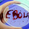 В феврале в России испытают сразу три вакцины против Эболы