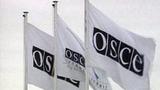 МИД России заявил, что ОБСЕ обратилась не по адресу